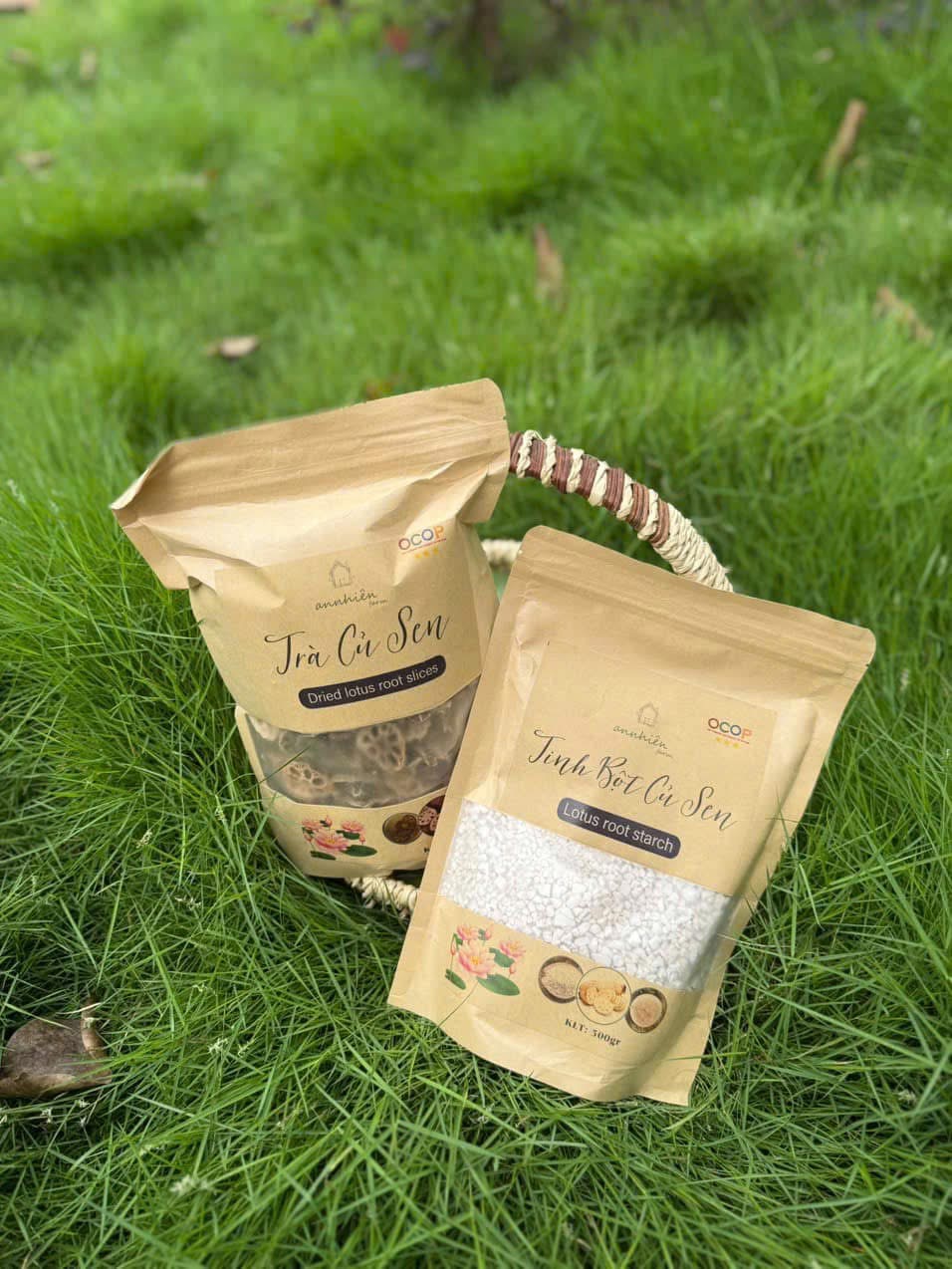 NATURAL FARMING TRADING CO., LTD. - 1