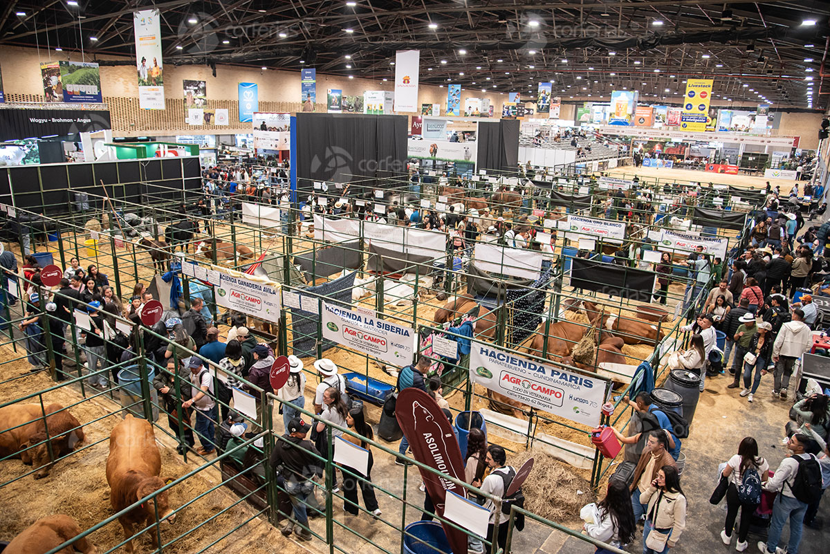 Agroexpo 图片 2