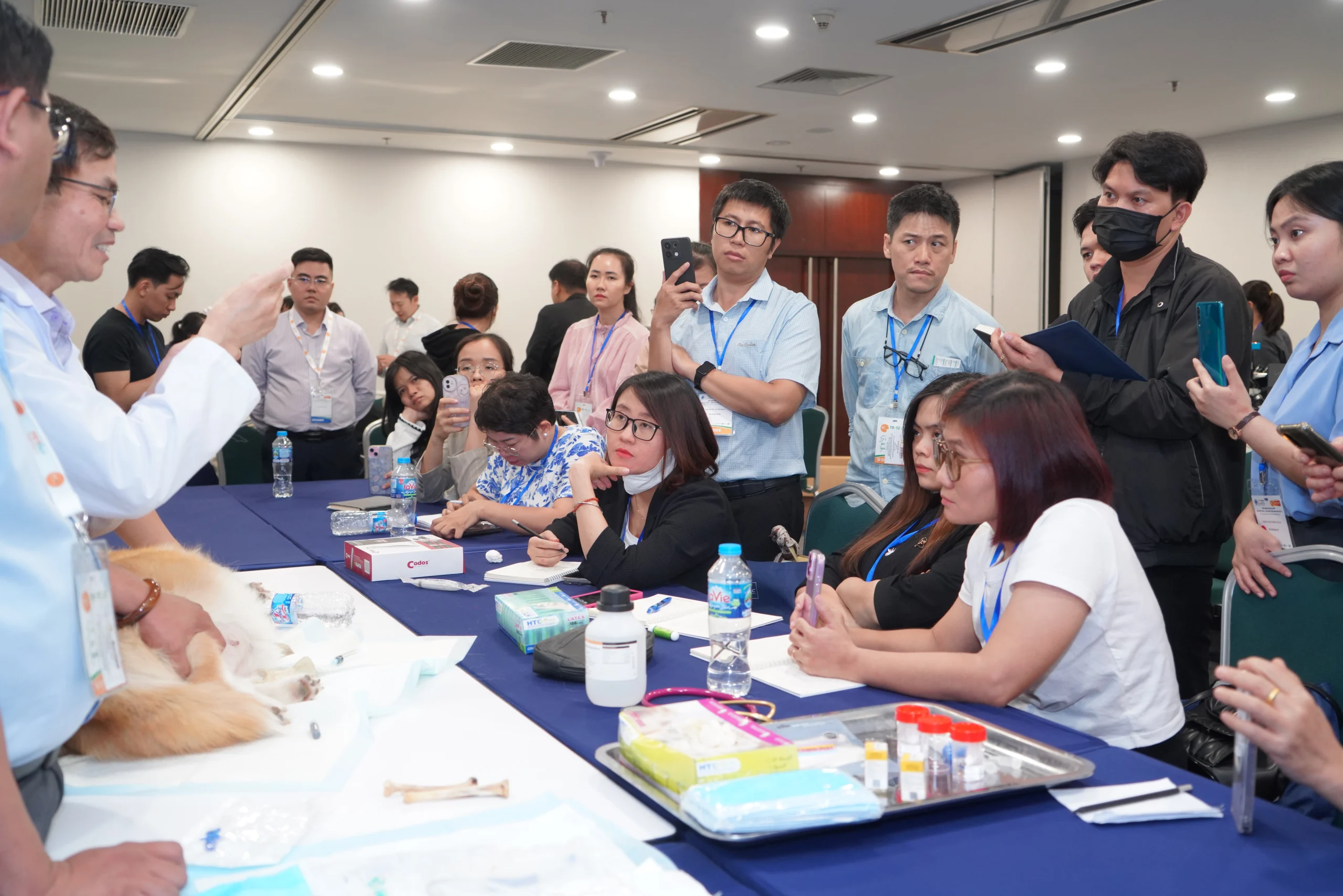 Petfair Vietnam