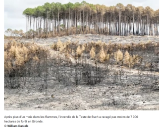 ENVIROpro Sud-Ouest Toulouse 图片 5