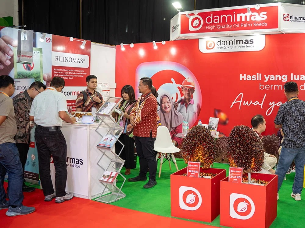 PALMEX Indonesia 图片 3