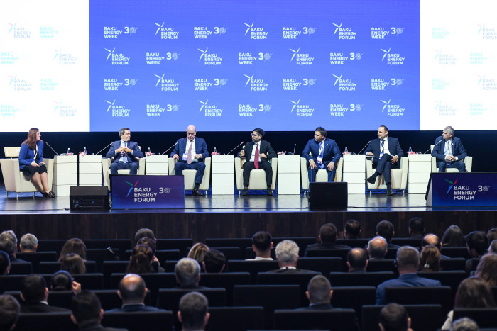 Baku Energy Forum 图片 4