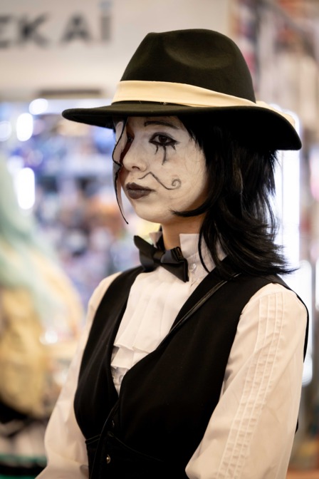 Foire Internationale de Bordeaux 图片 4