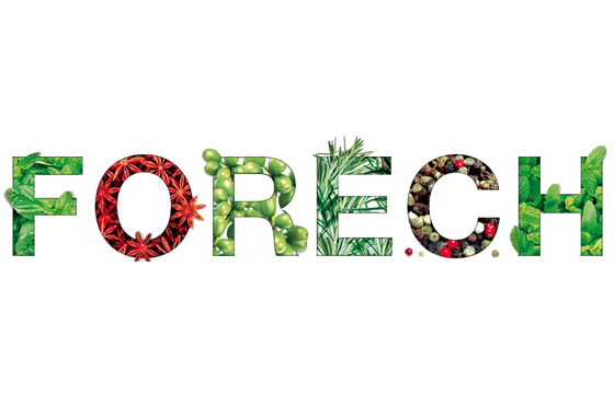 International Expoforum of Restaurant, Hotel Business and Cleaning FoReCH 2026
