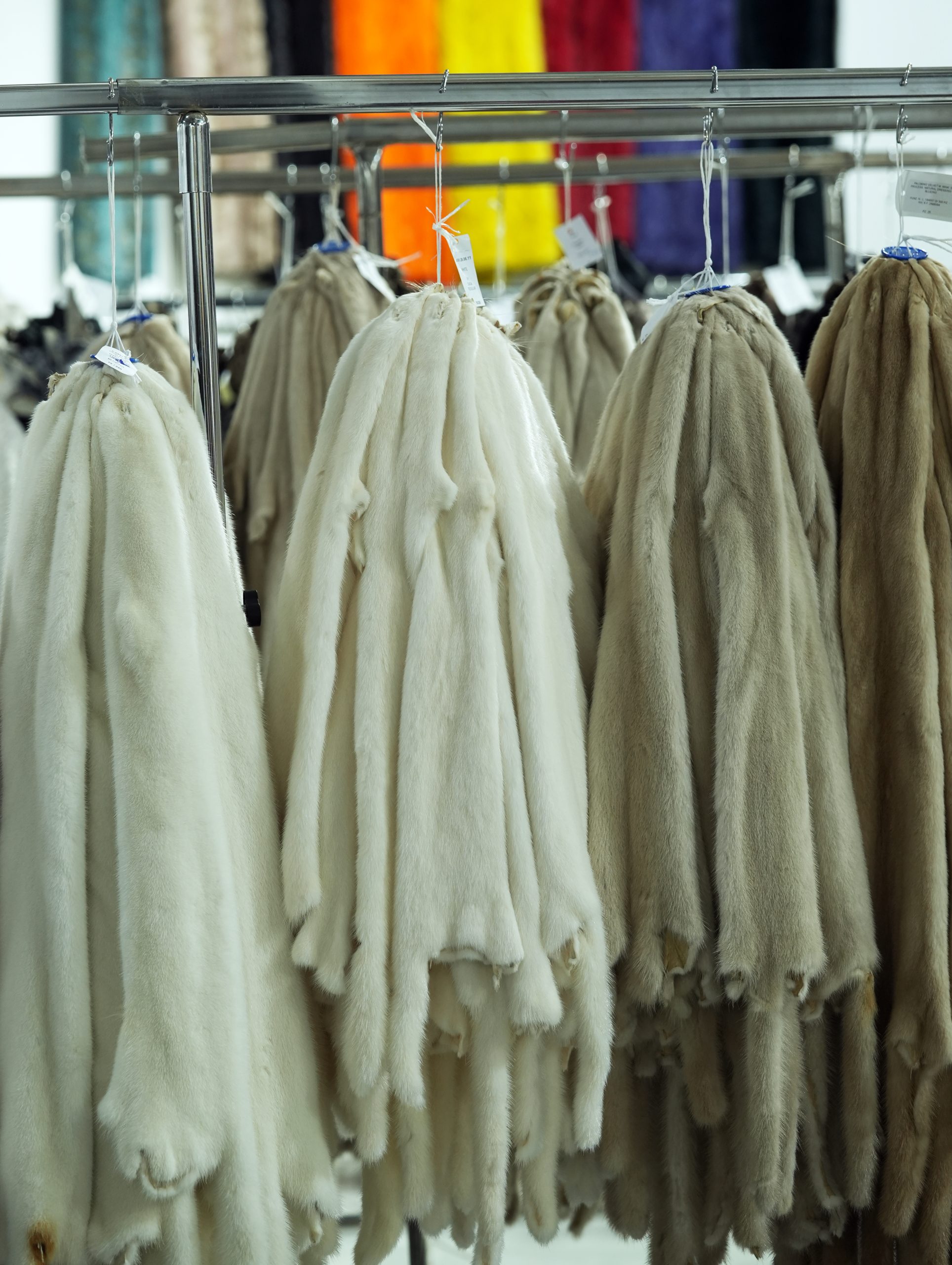 Kastoria International Fur Fair 图片 4