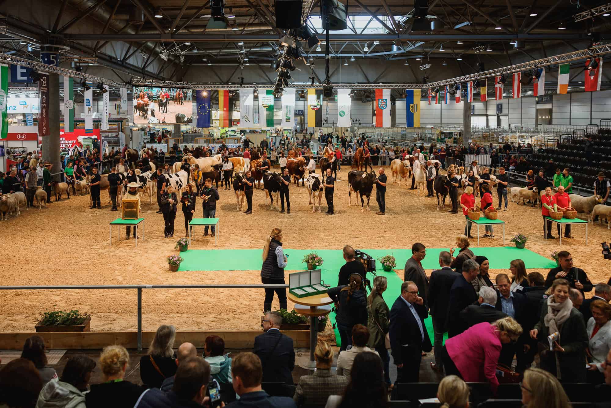 agra Agricultural Exhibition 图片 4