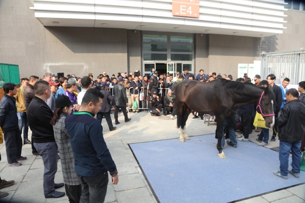 展会现场 12