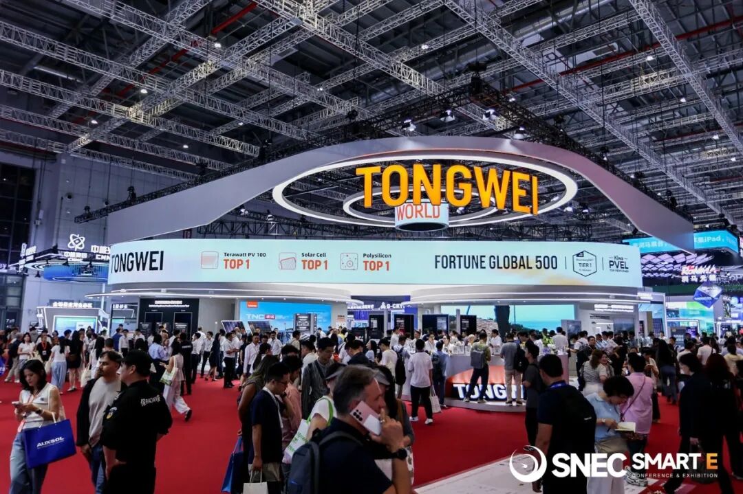 SNEC ES+ ( ) International Energy Storage & Battery Conference & Exhibition 图片 2