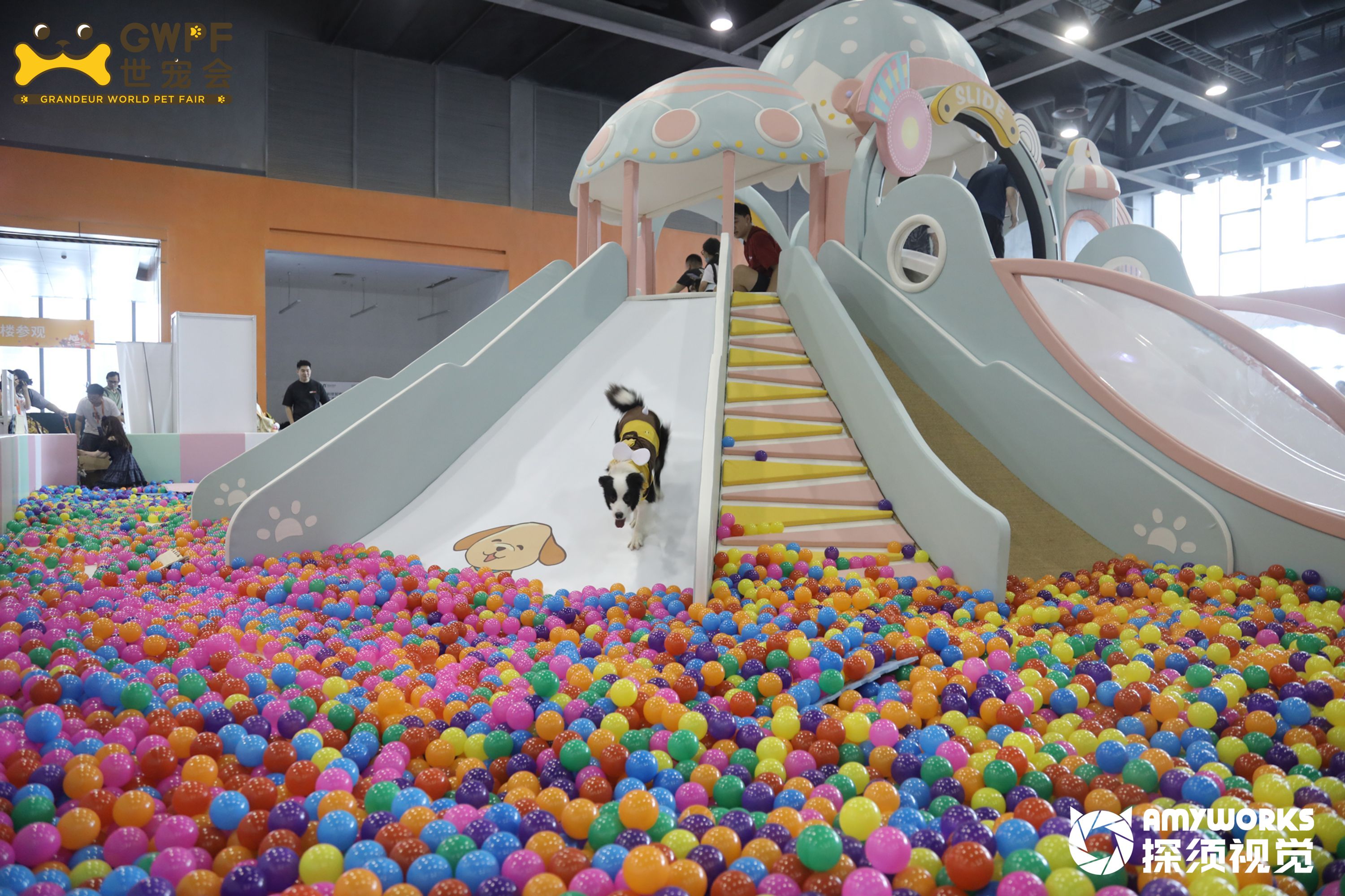 Grandeur World Pet Fair - Chongqing 图片 2