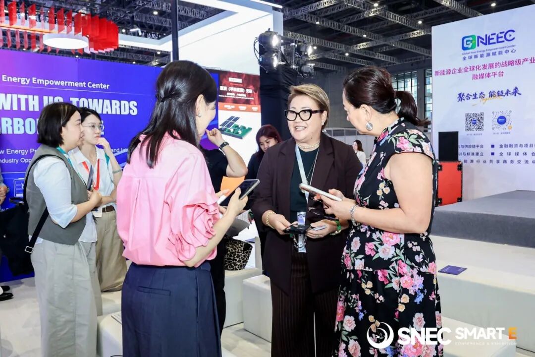 SNEC ES+ ( ) International Energy Storage & Battery Conference & Exhibition 图片 3