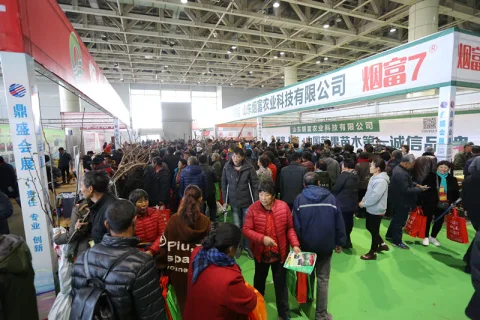 展会现场 9