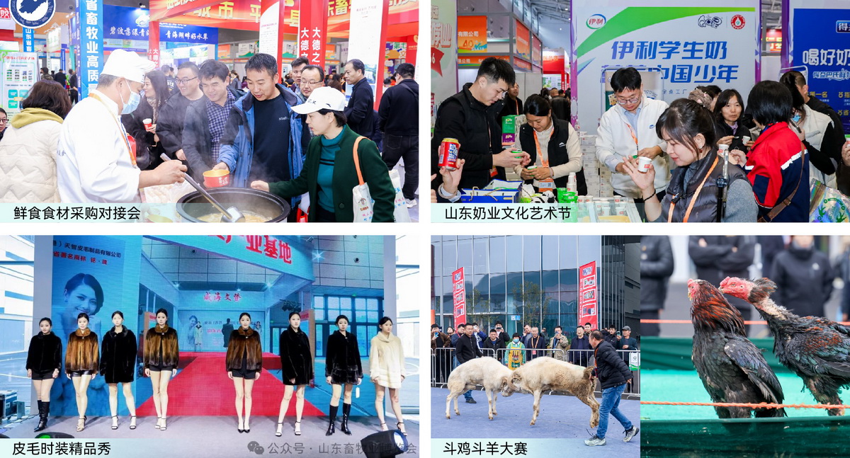 Shandong Animal Husbandry Expo