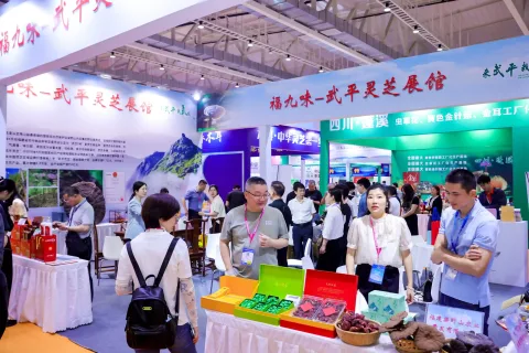 展会现场 5