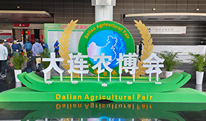 Dalian Agricultural Fair 图片 3