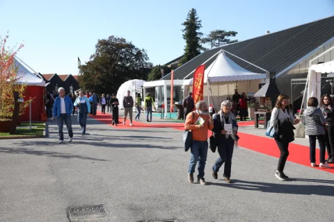 Onsite image 2