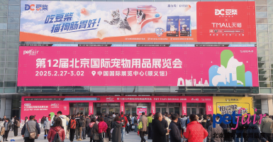 Upet 图片 2