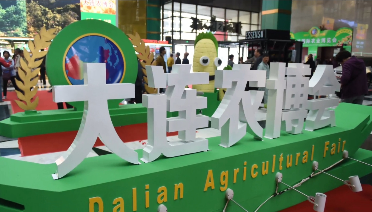 Dalian Agricultural Fair 图片 5