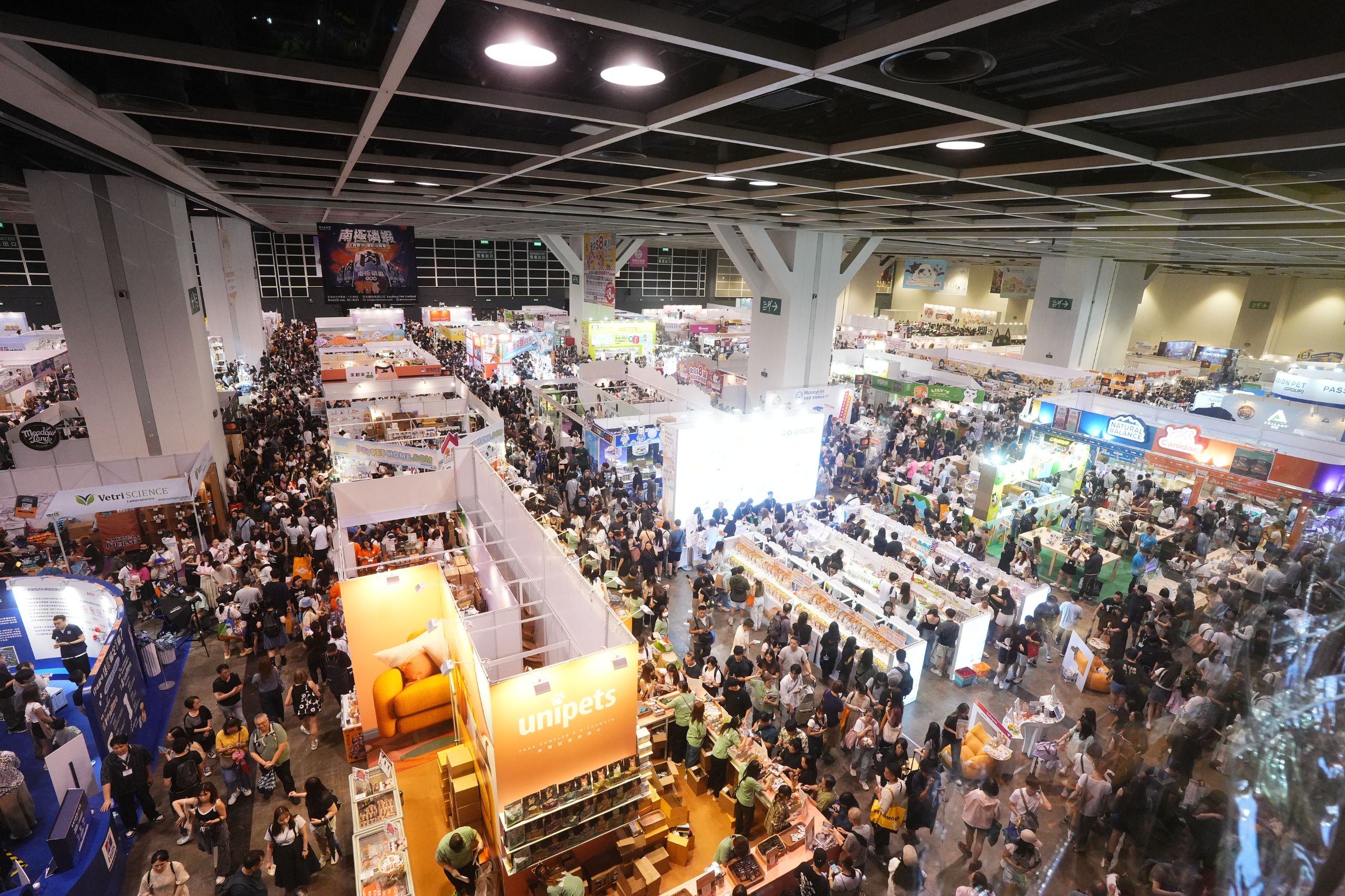 Hong Kong Cat Expo 图片 4