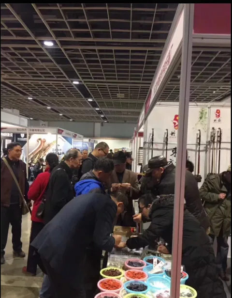 展会现场 5