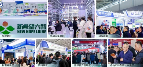 展会现场 5