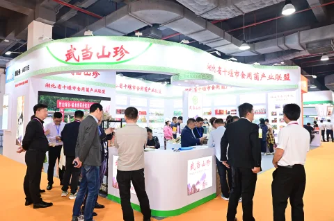 展会现场 1