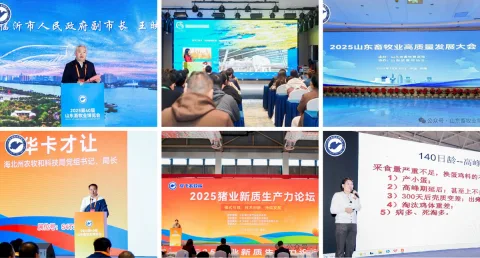 展会现场 2