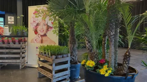 Onsite image 3