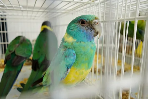 Onsite image 4