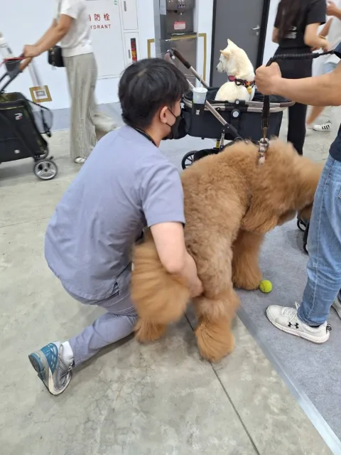 展会现场 1