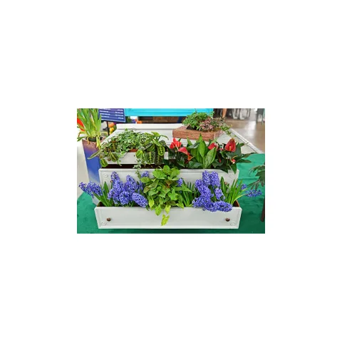 展会现场 3