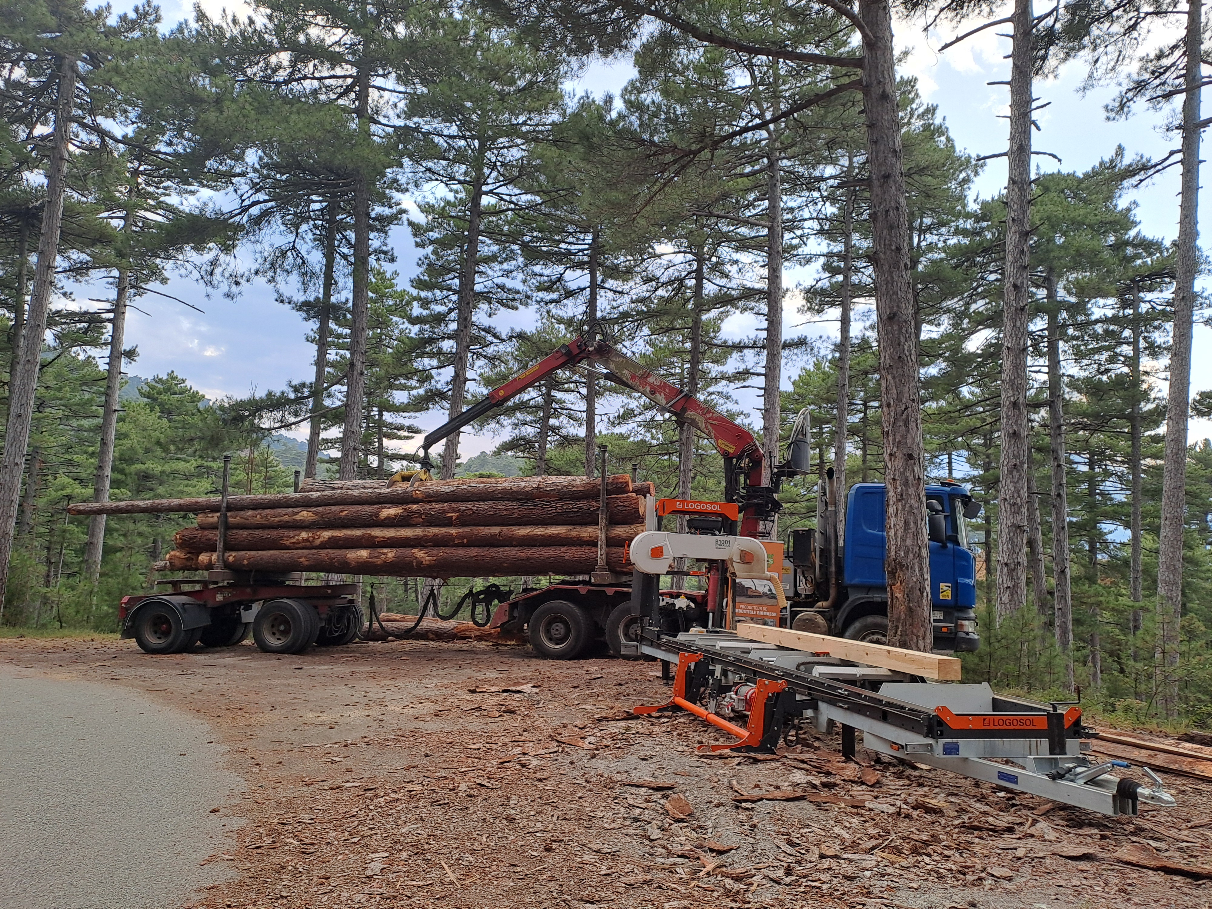 Onsite image 2