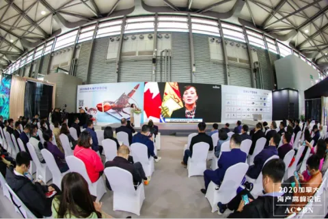Onsite image 1