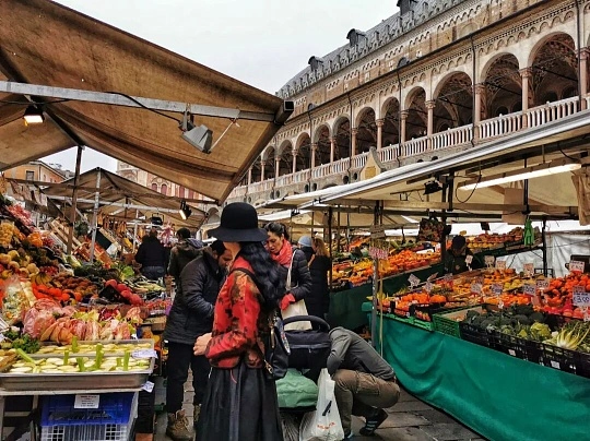 Fiera di San Michele