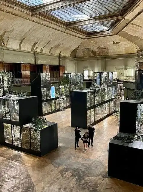 Lyon Biennale - Contemporary Art