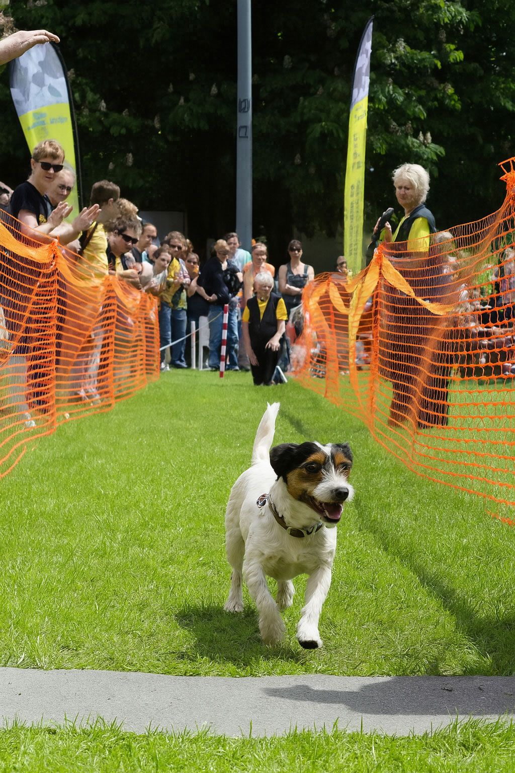 MEIN HUND MESSE – Mannheim