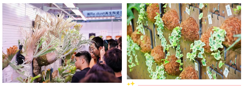 Asia Flower Industry Expo 图片 4