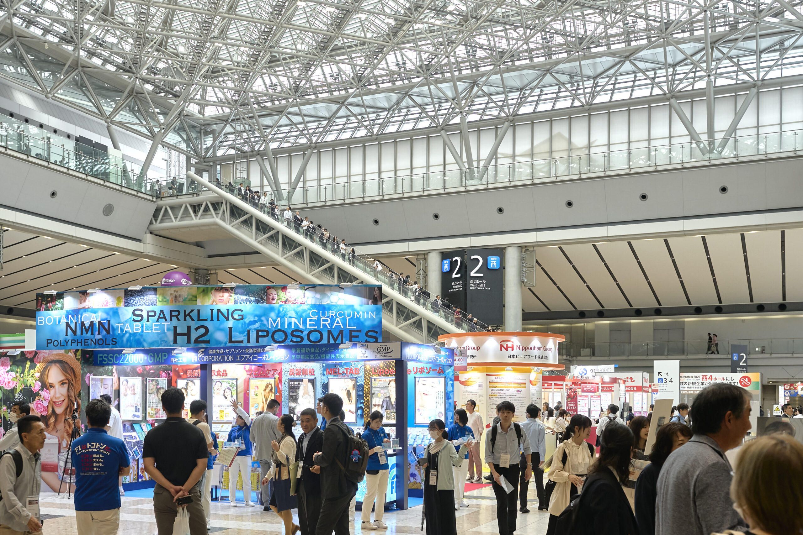 LL Japan