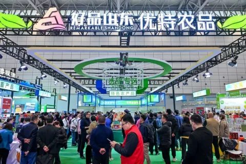 展会现场 6