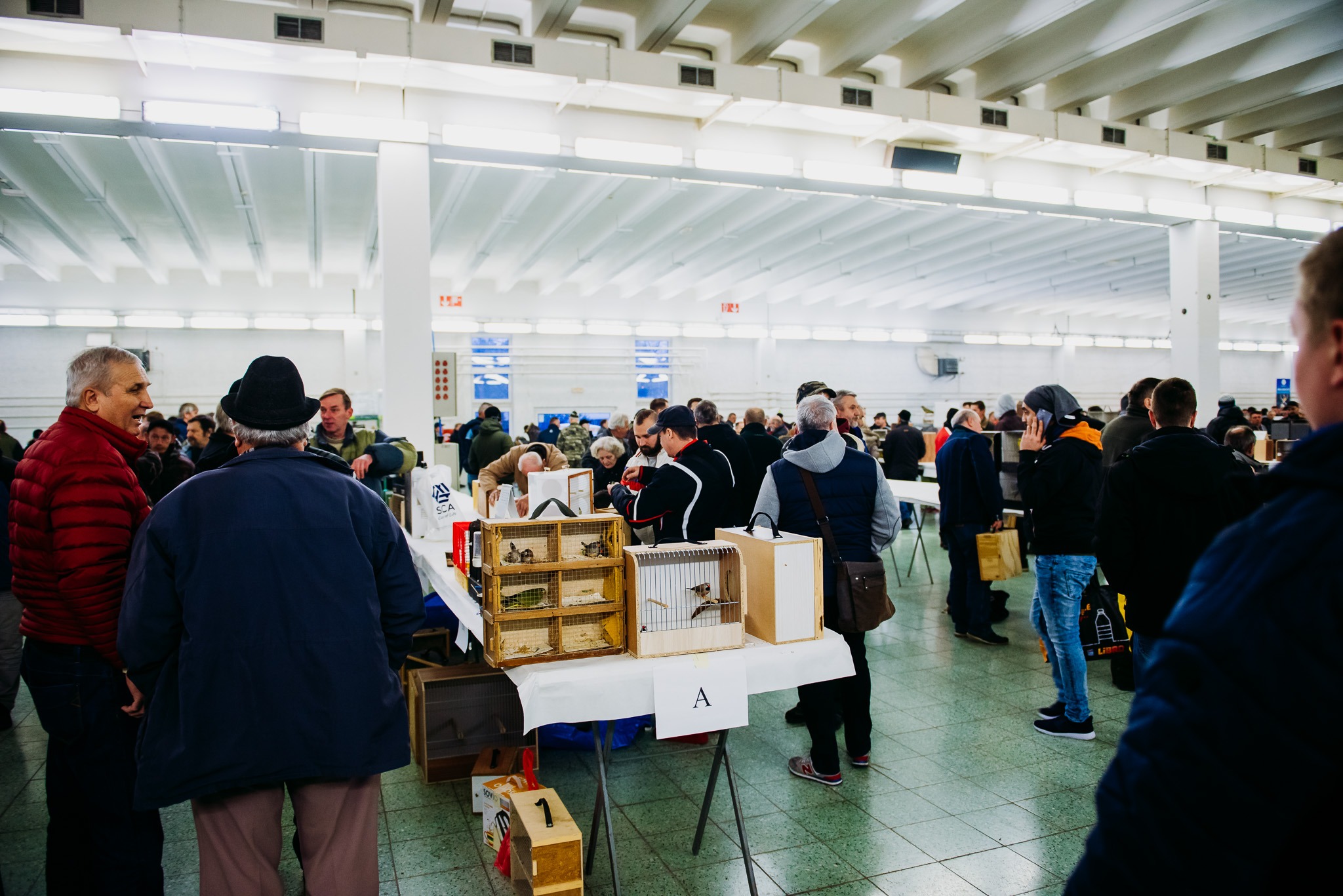 International Fair of Exotic Animals Nitra 图片 2