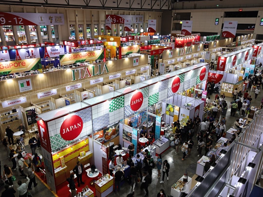 Marseille International Fair 图片 3