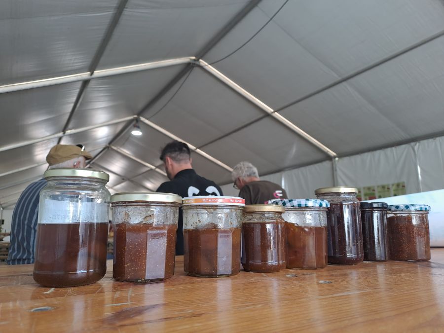 Festa di u Ficu