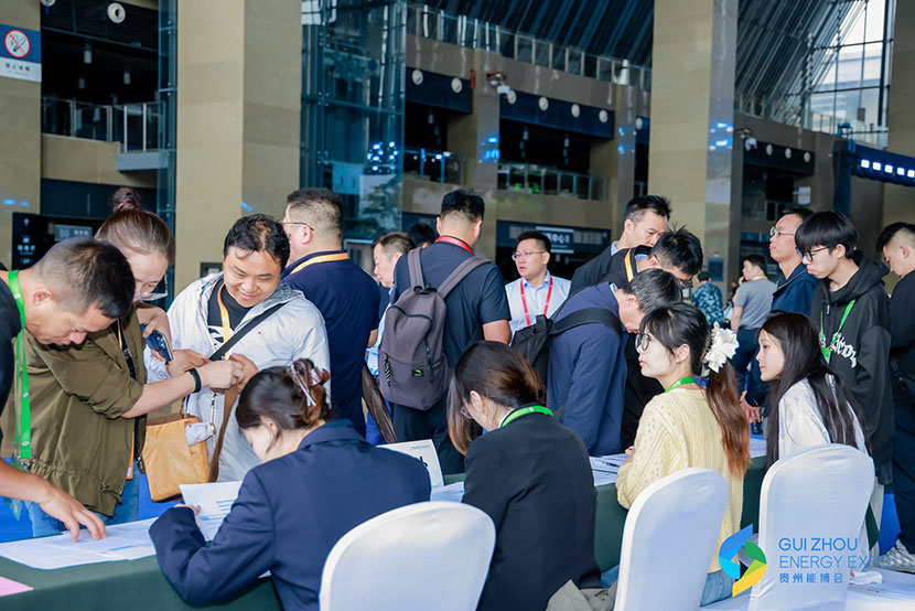 The China Guizhou International Energy Industry Expo 图片 4