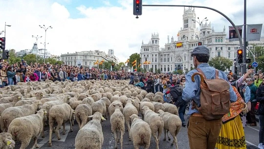 Fête des Bergers d'Aramits 图片 3
