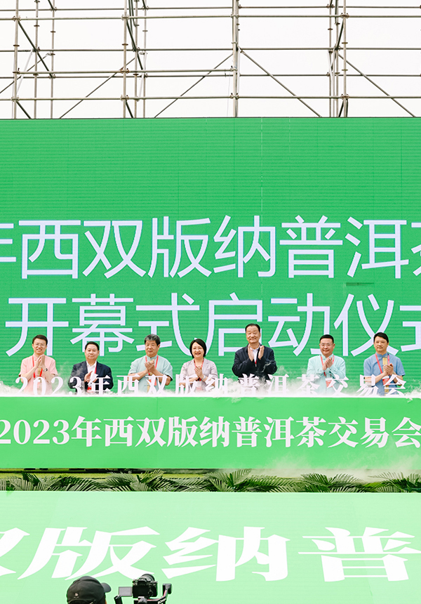 Huajuchen Beijing International Tea Industry Expo 图片 4