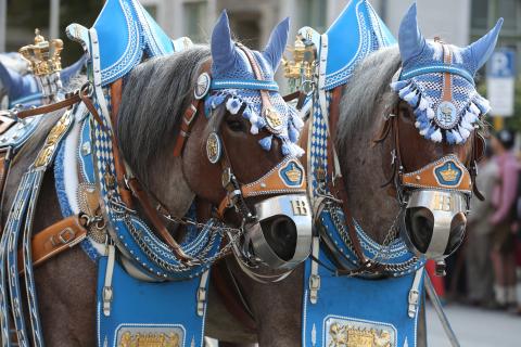 Oktoberfest 图片 3