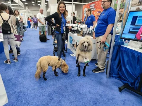 Onsite image 6