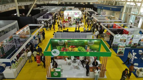 Onsite image 5