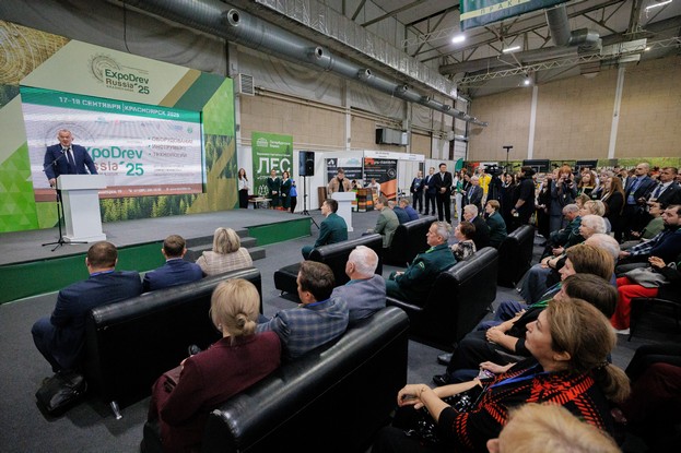 EXPODREV RUSSIA 图片 3