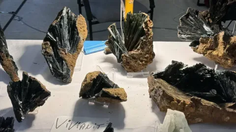 展会现场 4