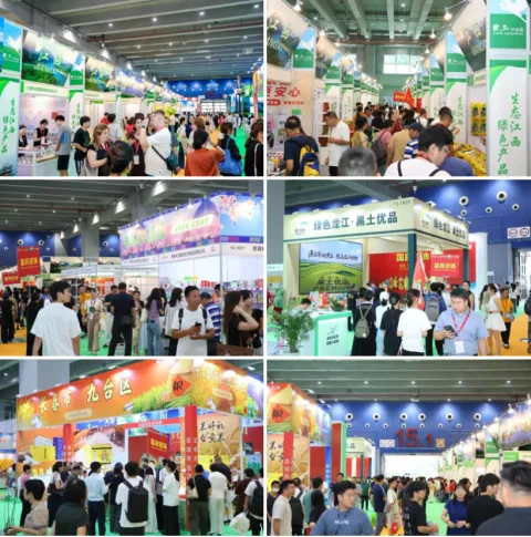 展会现场 6